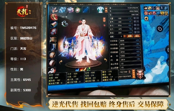 【TMS28476】 | 【抖音红旗推】 | 天龙 | 等级:113 | 主属性:6545 | 副属性:5300 | 男 | 主玄攻