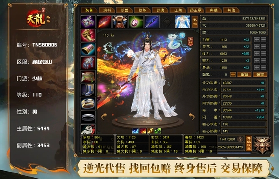 【TNS60806】 | 少林 | 等级:110 | 主属性:5434 | 副属性:3453 | 男 | 主玄攻