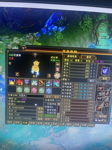 【逆光代售宝宝交易全免手续费】商品图片