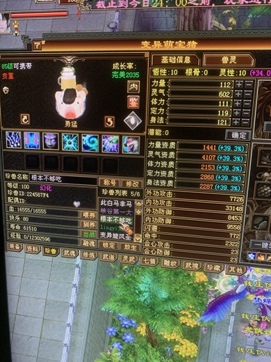 携带等级:85级 | 等级:100 | 悟性10 | 灵性10 | 最高资质:4107 | 【逆光代售宝宝交易全免手续费】商品图片