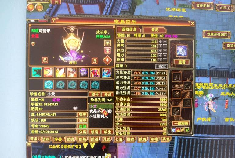 携带等级:85级 | 等级:99 | 悟性10 | 灵性10 | 最高资质:3982 | 【逆光代售宝宝交易全免手续费】商品图片
