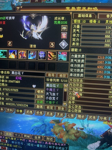 携带等级:85级 | 等级:98 | 悟性10 | 灵性10 | 最高资质:4062 | 【逆光代售宝宝交易全免手续费】商品图片