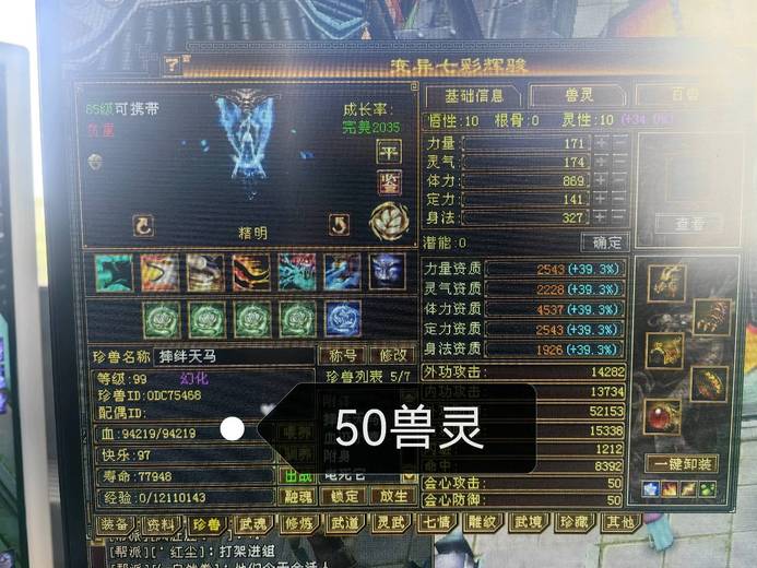携带等级:85级 | 等级:99 | 悟性10 | 灵性10 | 最高资质:4537 | 【逆光代售宝宝交易全免手续费】商品图片