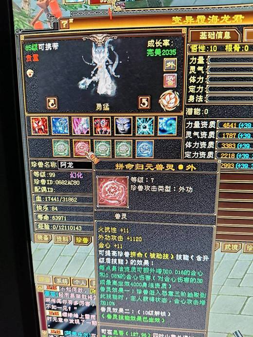 携带等级:85级 | 等级:99 | 悟性10 | 灵性10 | 最高资质:4223 | 【逆光代售宝宝交易全免手续费】商品图片