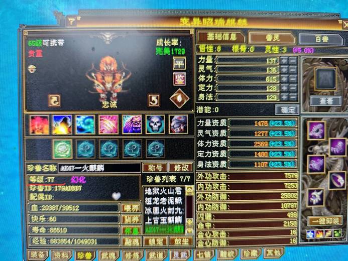 携带等级:65级 | 等级:77 | 悟性8 | 灵性3 | 最高资质:2569 | 【逆光代售宝宝交易全免手续费】商品图片