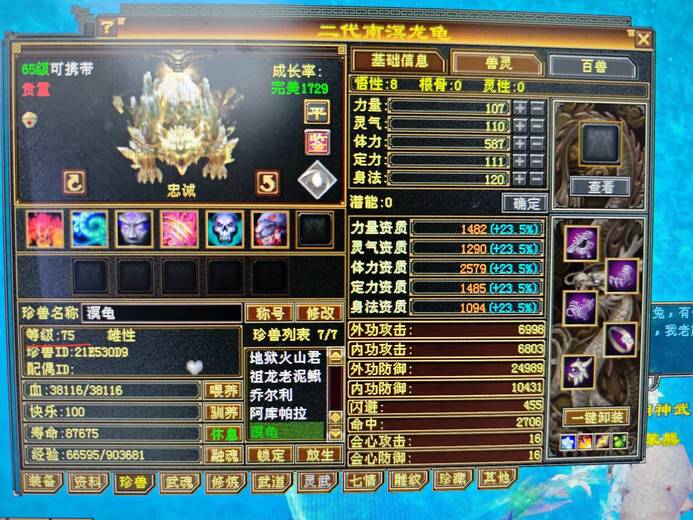 携带等级:65级 | 等级:75 | 悟性8 | 灵性0 | 最高资质:2579 | 【逆光代售宝宝交易全免手续费】商品图片