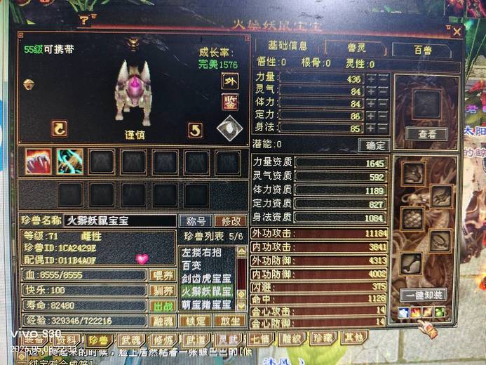 携带等级:65级 | 等级:70 | 悟性0 | 灵性0 | 最高资质:1600 | 【逆光代售宝宝交易全免手续费】商品图片