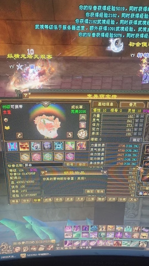 携带等级:95级 | 等级:95 | 悟性10 | 灵性10 | 最高资质:4799 | 【逆光代售宝宝交易全免手续费】商品图片