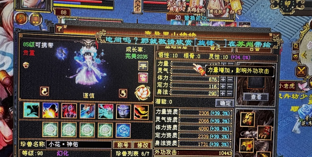 体力宠物 | 谨慎 | 携带等级:85级 | 等级:98 | 悟性10 | 灵性10 | 最高资质:4080 | 【逆光代售宝宝交易全免手续费】商品图片