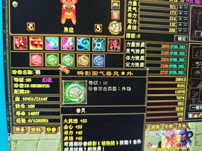 外攻宝宝 | 勇猛 | 携带等级:85级 | 等级:80 | 悟性10 | 灵性10 | 最高资质:4000 | 【逆光代售宝宝交易全免手续费】商品图片