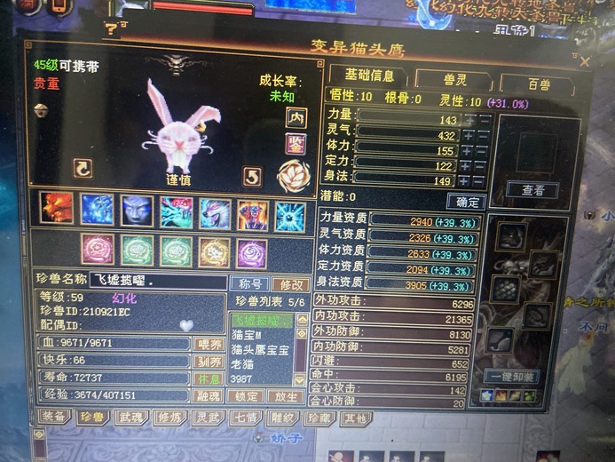 内攻宝宝 | 谨慎 | 携带等级:其他等级 | 等级:59 | 悟性10 | 灵性10 | 最高资质:3905 | 【逆光代售宝宝交易全免手续费】商品图片