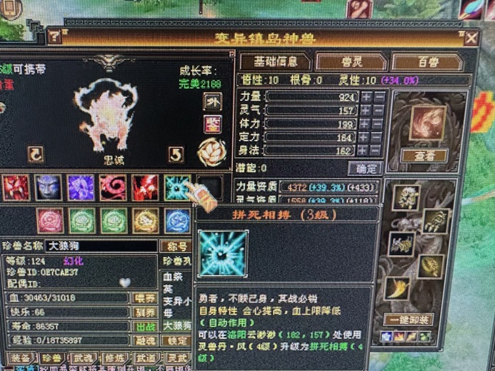 外攻宝宝 | 忠诚 | 携带等级:95级 | 等级:124 | 悟性10 | 灵性10 | 最高资质:3939 | 【逆光代售宝宝交易全免手续费】商品图片