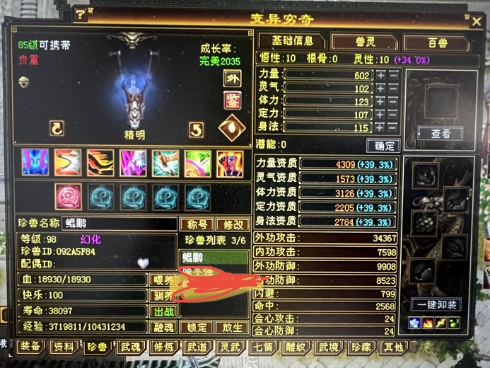 【鸿渊推荐】 | 外攻宝宝 | 精明 | 携带等级:85级 | 等级:98 | 悟性10 | 灵性10 | 最高资质:4309 | 【逆光代售宝宝交易全免手续费】商品图片