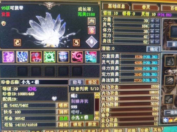 内攻宝宝 | 勇猛 | 携带等级:95级 | 等级:29 | 悟性10 | 灵性10 | 最高资质:4305 | 【逆光代售宝宝交易全免手续费】商品图片