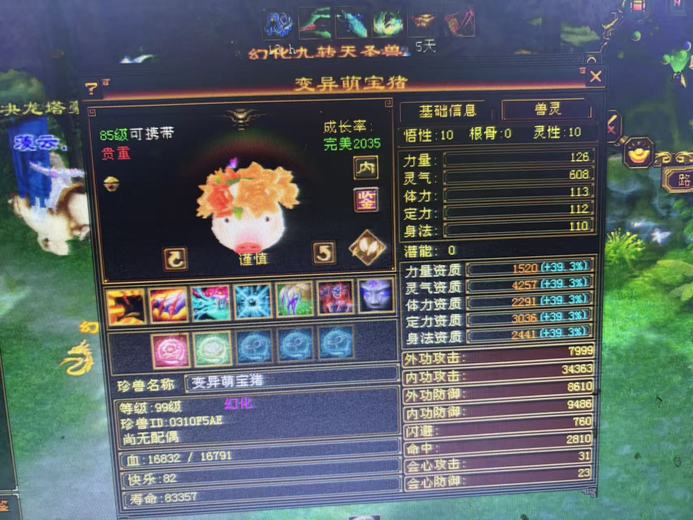 内攻宝宝 | 谨慎 | 携带等级:85级 | 等级:99 | 悟性10 | 灵性10 | 最高资质:4257 | 【逆光代售宝宝交易全免手续费】商品图片