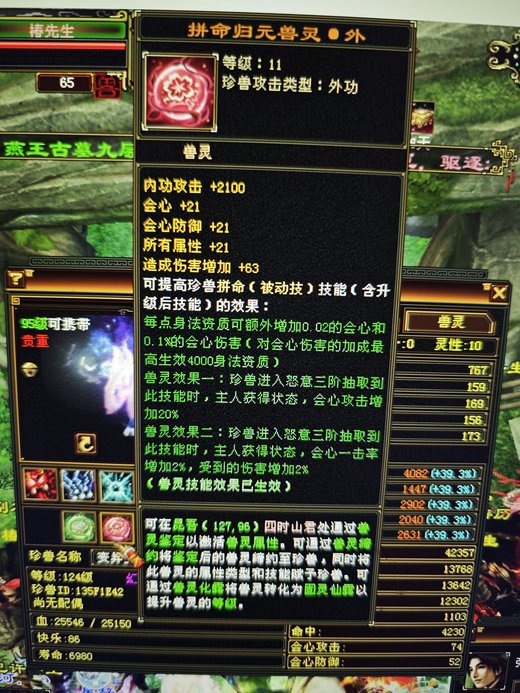 外攻宝宝 | 胆小 | 携带等级:95级 | 等级:124 | 悟性10 | 灵性10 | 最高资质:4081 | 【逆光代售宝宝交易全免手续费】商品图片
