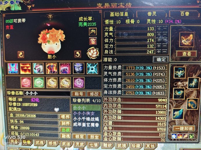 内攻宝宝 | 胆小 | 携带等级:85级 | 等级:99 | 悟性10 | 灵性10 | 最高资质:4562 | 【逆光代售宝宝交易全免手续费】商品图片