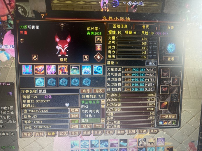 内攻宝宝 | 精明 | 携带等级:95级 | 等级:119 | 悟性10 | 灵性10 | 最高资质:3900 | 【逆光代售宝宝交易全免手续费】商品图片