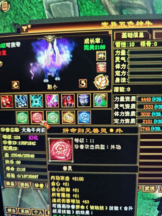 外攻宝宝 | 胆小 | 携带等级:95级 | 等级:124 | 悟性10 | 灵性10 | 最高资质:4100 | 【逆光代售宝宝交易全免手续费】商品图片