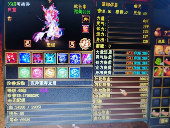 外攻宝宝 | 忠诚 | 携带等级:85级 | 等级:99 | 悟性10 | 灵性10 | 最高资质:4233 | 【逆光代售宝宝交易全免手续费】商品图片