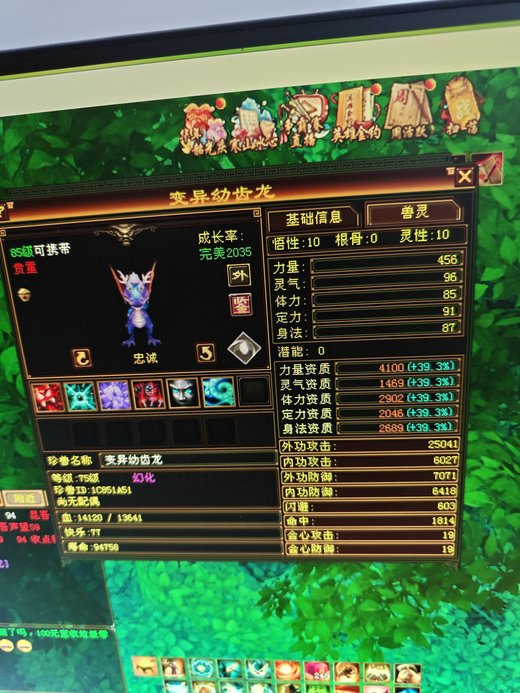 外攻宝宝 | 忠诚 | 携带等级:85级 | 等级:75 | 悟性10 | 灵性10 | 最高资质:4100 | 【逆光代售宝宝交易全免手续费】商品图片