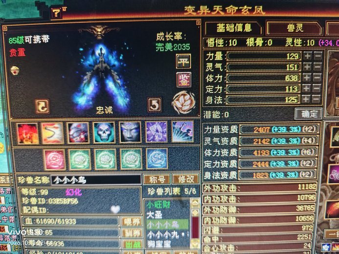 体力宝宝 | 忠诚 | 携带等级:85级 | 等级:99 | 悟性10 | 灵性10 | 最高资质:4193 | 【逆光代售宝宝交易全免手续费】商品图片